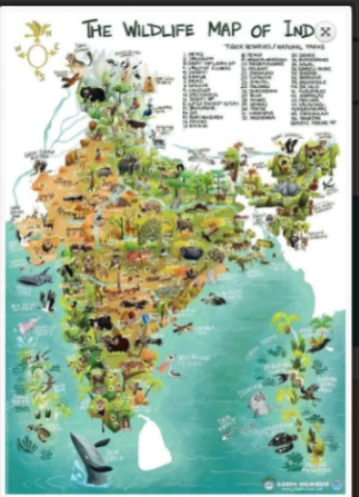 Thoughts of Travelers