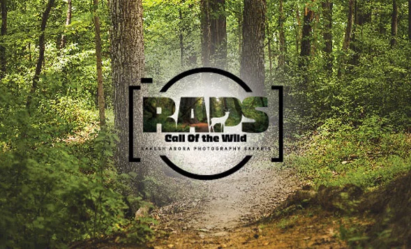 raps-wildlife-tours-to-India-from-Australia raps wildlife tours to india from australia logo in forest