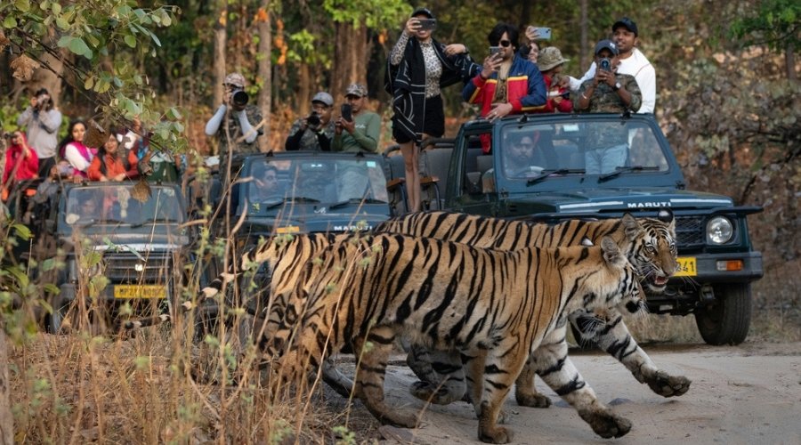 Plan a small group tour to India From Australia