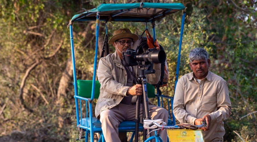 The Uncharted Corridor: Capturing the Raw, Untouched Beauty of Sanjay Dubri’s Sal Forests.