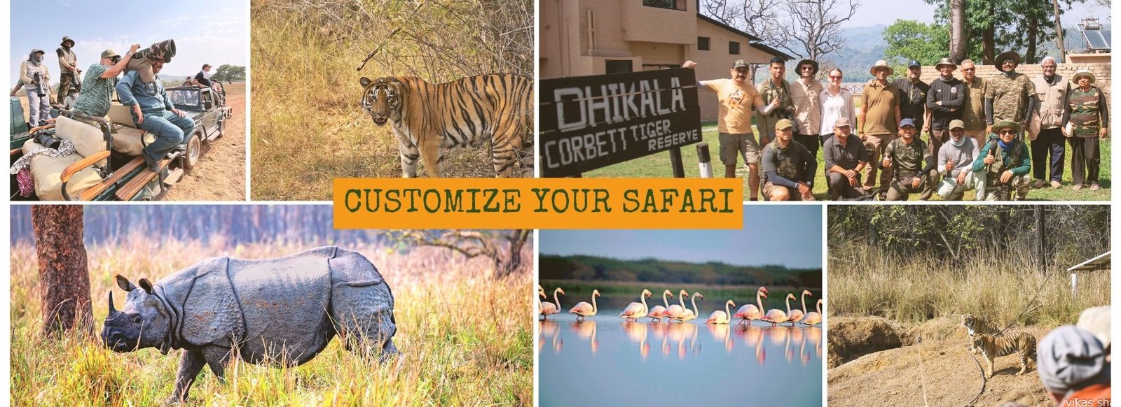 Luxury India Safari from Australia to India with RAPS